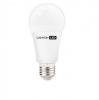 Bec CANYON, LED lamp, A60 shape, E27, 10W, 220-240V, 300 grade, 806 lm, 2AE27FR10W230VW