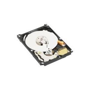 HDD Western Digital Scorpio WD2500BEVE, 250GB