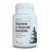 Vitamine si minerale esentiale (40