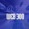 Webdesign 300