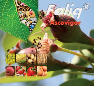 Biostimulator de crestere si fructificare Ascovigor foliq