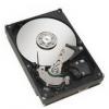 Hard disk seagate st3250310as, 250 gb, sata2