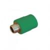 RACORD VERDE PPR D.25x3/4"FE PN20 SDR6