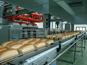 Fabrica paine