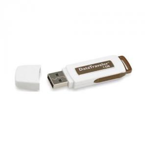 USB Flash Drive KINGSTON Data Traveler 1GB DT100 KSTON/1GB/DT100