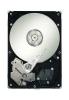 Hard Disk Server Seagate ST3750630SS