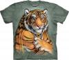 Tricou indian tiger