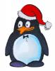 Pinguin