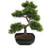 EUROPALMS Pine bonsai, artificial plant, 50cm