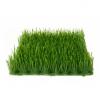 Europalms artificial grass tile, shade,