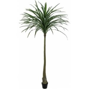 EUROPALMS Dracena, green, artificial,  220cm