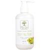Olive tree spa clinic manicure spa therapy lotion