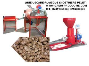 LINIE PELETI : USCARE RUMEGUS SI MASINA PELETI, GAMM PRODUCTIE SERVICII  COMERT SRL - SC GAMM PRODUCTIE SERVICII COMERT SRL