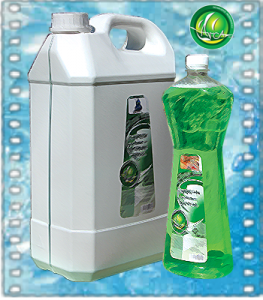 Detergent covoare