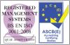 Audit si certificare iso 9001