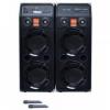 Sistem karaoke boxe audio temeisheng dp-2329, cu