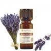 Lavanda bio ulei esential (lavandula angustifolia), 10 ml