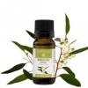 Niaouli bio ulei esential (melaleuca quinquenervia) 10 ml