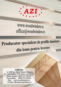 Profile lamelare lemn