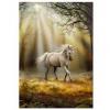 Puzzle unicorn, anne stokes 1000 de piese