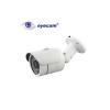 Camera supraveghere 700TVL Eyecam EC338