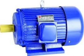 Motor electric 3kw