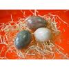 Oua decor din pietre semipretioase - mici