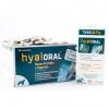 Hyaloral Large Breed 360 tablete