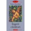 Ingeri cazatori - Tracy Chevalier-973-681-319-3