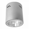 Spot downlight cu reflector r-6000t,argintiu