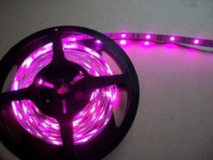 Banda LED roz de interior 3528, 300 leduri