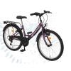 Bicicleta kreativ dhs k2014 5v