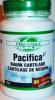 CARTILAJ DE RECHIN de PACIFIC 750 mg 90 capsule