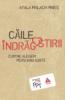 CAILE INDRAGOSTIRII
