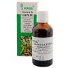 Tinctura de Ghimpe Hofigal - 50 ml