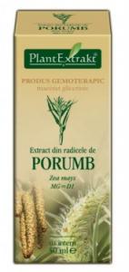 Extract din radicele porumb (ZEA MAYS)