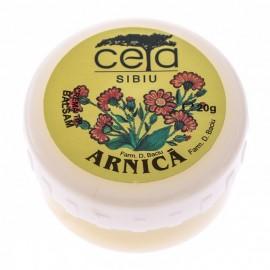 Unguent de arnica - 20 g