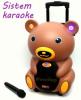 Sistem karaoke pentru copii si adulti - sistem karaoke profesional 40w