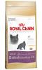 Royal canin british shorthair 34 2kg
