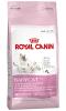 Royal canin babycat 34 400g