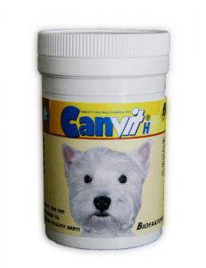 Canvit H 500g