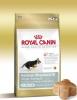 Royal canin german shepherd junior 12kg |royal canin ciobanesc german