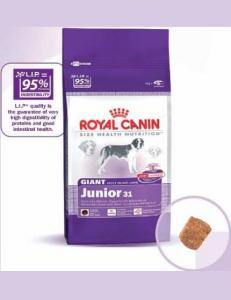 Royal Canin Giant Junior 15 Kg + Cadou Fresbee