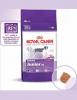 Royal canin giant junior 15 kg + cadou croseta de