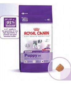 Royal Canin Giant Puppy 15 Kg-279 lei | Royal Canin Giant Puppy pentru catei pin