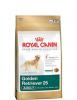 Royal Canin Golden Retriever Adult 12 Kg+Cadou Croseta de capuse