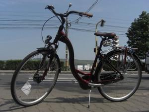 Furca telescopica bicicleta