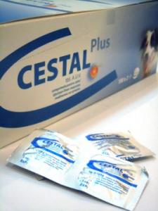 Cestal Plus Flavor - antiparazitar intern caine
