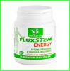 FLUXSTEM ENERGY 250ML