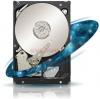 Seagate - Promotie  HDD Constellation ES, 1TB, SATA III 600